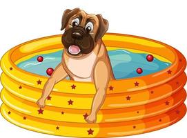carino cucciolo di cane in piscina di gomma vettore