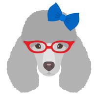 Ritratto di cane barboncino con occhiali e arco in stile piano. Illustrazione vettoriale di cane Hipster per carte, stampa t-shirt, cartello.
