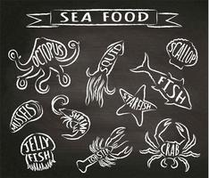 Illustrazioni di vettore di contorno del gesso dei frutti di mare sulla lavagna, elementi per progettazione del menu del ristorante, decorazione, etichetta. Chalk texture contorni grunge di animali marini con nomi.