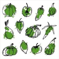 raccolta di icone vettoriali frutta e verdura. illustrazione isolata su bianco. scarabocchio disegnato a mano. contorno alimentare con macchia astratta colorata. mela, zucca, pepe, limone, pomodoro, aglio.