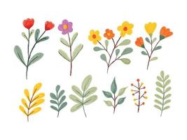 illustrazione dell'acquerello di fiori di campo e foglie vettore