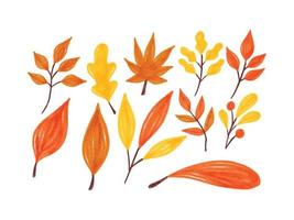 raccolta di illustrazione ad acquerello foglia d'autunno vettore