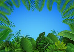 Sfondo di foglie tropicali. Adatto a concetto di natura, vacanze e vacanze estive. Illustrazione vettoriale