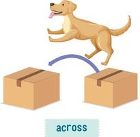 preposizione di posto con cane cartone animato e una scatola vettore