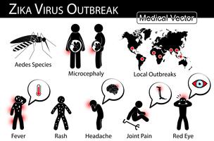 Infographics di virus Zika infuria. Zanzara Specie Aedes. è portatore, microcefalia nel feto, focolai della zona locale, sintomo della febbre da zika. vettore