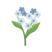 little blue forget me not fiori a forma di cuore con steli e foglie. piante da fiore di campo. decorazione romantica per matrimoni e design. illustrazione piatta vettoriale