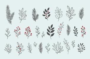 elementi floreali invernali vettoriali disegnati a mano. rami e foglie invernali. elementi floreali disegnati a mano. illustrazioni botaniche d'epoca.
