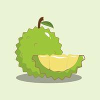 illustrazione grafica vettoriale di frutta durian, adatta per il design a tema frutta