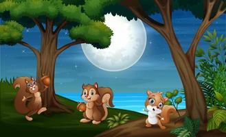 foresta notturna con tre scoiattoli vettore