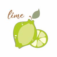 Lime Fruit. Iscrizione. Banner pubblicitario Illustrazione vettoriale