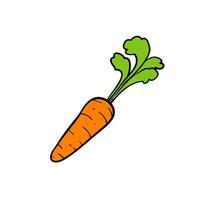 doodle carota, vettore vegetale nutriente disegnato a mano linea arte design isolato