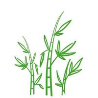 Fondo isolato di vettore di stile di doodle della pianta di bambù disegnata a mano