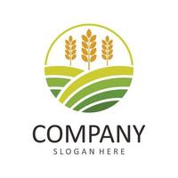 modello di logo di vettore di grano agricolo