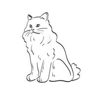 gatto illustrazione vettoriale disegnato a mano isolato su sfondo bianco linea art.