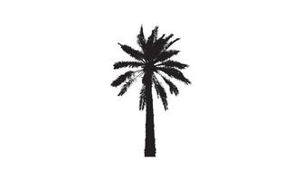 design del logo dell'illustrazione vettoriale della palma in bianco e nero
