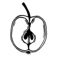 mezza mela. icona vettore. illustrazione isolata su uno sfondo bianco. un frutto. una fetta di dolce. scarabocchio disegnato a mano. contorno nero di una ranetka. monocromo. vettore