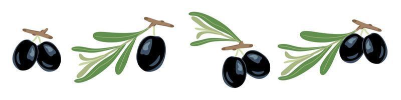 olive su un ramo. illustrazione vettoriale. un concetto per adesivi, poster, cartoline, siti Web e applicazioni mobili. vettore