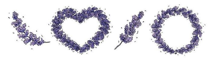 insieme di vettore disegnato a mano del ramo di lavanda isolato su priorità bassa bianca. cornice rotonda, cornice a cuore. modello per biglietto di auguri. carina illustrazione botanica.