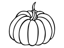 illustrazione disegnata a mano di vettore della zucca. oggetto isolato su sfondo bianco. clipart di raccolta delle verdure. prodotto del mercato agricolo. elementi per il design autunnale, la decorazione.