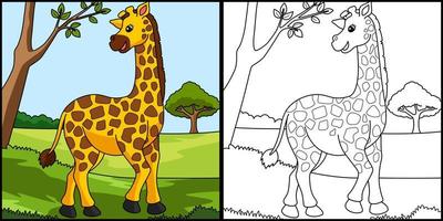 illustrazione colorata della pagina di colorazione della giraffa vettore