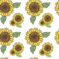 girasole vettore modello senza cuciture con foglie verdi, imitando inchiostro e acquerello su sfondo bianco. capolini disegnati a mano. carta da parati a tema naturale, involucro, carta da imballaggio, design di biglietti di compleanno