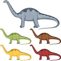 una serie di dinosauri apatosaurus su sfondo bianco vettore