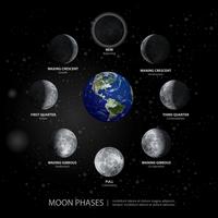 Movimenti dell&#39;illustrazione realistica di vettore di fasi lunari