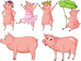 set di diversi maiali da fattoria in stile cartone animato vettore