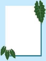 sfondo di colore azzurro con cornice rettangolare e foglie di alocasia illustrazione vettoriale