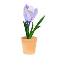 illustrazione di stock di vettore di fiore di zafferano. croco viola in un vaso di fiori. illustrazione di primavera. natura. botanica. condimenti per la cucina messicana. Isolato su uno sfondo bianco.