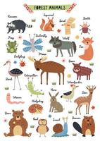 poster per bambini animali della foresta vettore