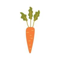 carota arancia vegetale vettore