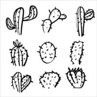 doodle piante di cactus esotici estate deserto flora tropicale cartone animato botanico disegnato a mano in stile cartone animato vettore