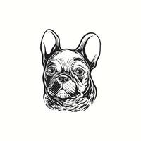 illustrazione del logo disegno a mano bulldog francese cane vettore vintage