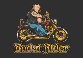 illustrazione vettoriale di budai rider