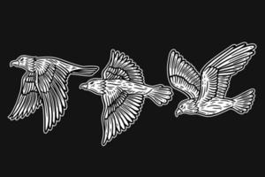 set di ali di animali di uccello aquila che volano disegnate a mano per l'illustrazione di arte del tatuaggio e della t-shirt vettore