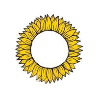 girasoli gialli in fiore pieni di semi di girasole all'interno per decorare biglietti di benvenuto vettore