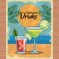 poster di cocktail tropicale vettore