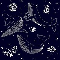 collezione di balene blu con coralli e bolle vettore