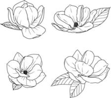 set 1 di peonia isolata illustrazione vettoriale di fiori disegnati a mano