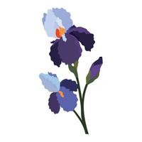 fiori di iris isolati su sfondo bianco vettore
