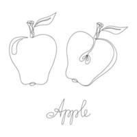 mela e mela tagliata a fette disegnate da una linea. schizzo. frutta di disegno a linea continua. per carta educativa, poster, banner. semplice illustrazione vettoriale. vettore