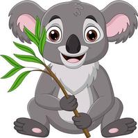 cartone animato koala che tiene un ramo di albero di eucalipto