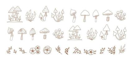 funghi magici e piante in linea, vettore