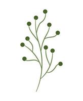 pianta di bacche verdi vettore