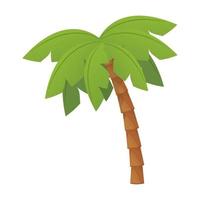 palma con fogliame in stile cartone animato isolato su sfondo bianco illustrazione vettoriale d'archivio. pianta tropicale della spiaggia selvaggia, baule di legno. . illustrazione vettoriale