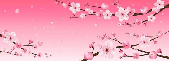 fiore di ciliegio, sakura, giappone, motivo floreale giapponese, illustrazione vettoriale. vettore