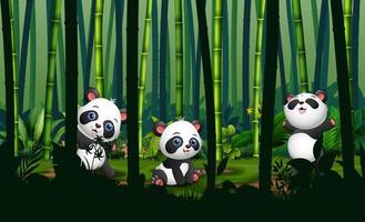carino tre di panda nella foresta di bambù vettore