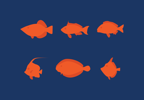 Set vettoriale di pesce