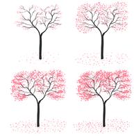 stagione degli alberi di sakura vettore